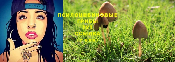 соль ск Алзамай