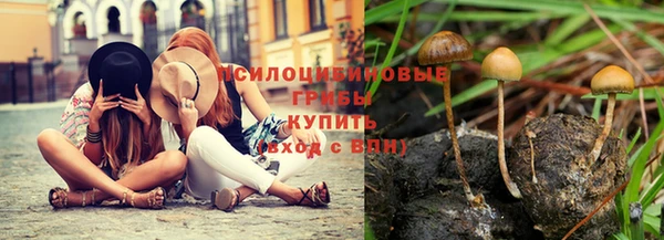 соль ск Алзамай