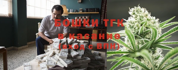 соль ск Алзамай